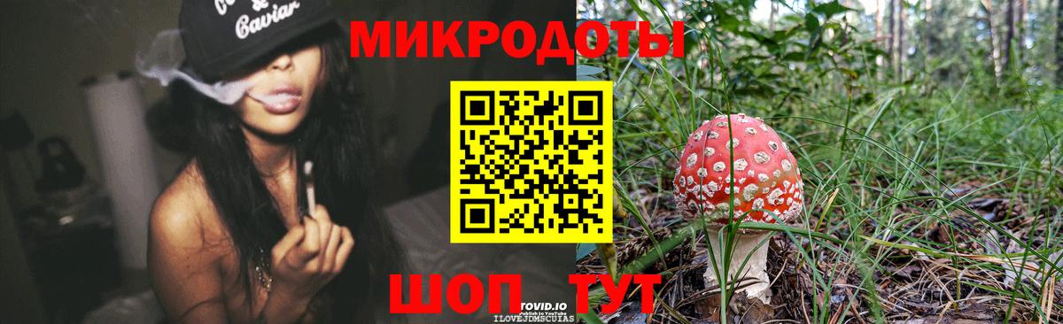 Псилоцибиновые грибы Psilocybe  что такое   Мирный  Вход с VPN  Галлюциногенные грибы мицелий 